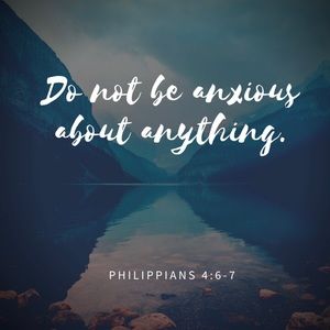 Meet your Posher, Skye